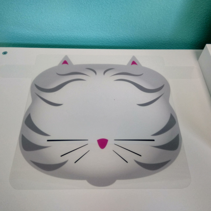 VISIERE DE SURPROTECTION CHAT
