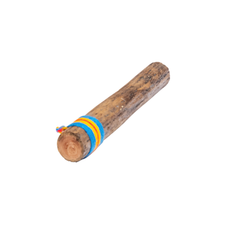 BATON DE PLUIE CACTUS 25 CM FUZEAU 