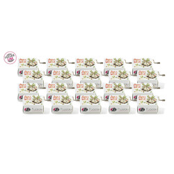 LOT DE 20 SERINETTES BOITES A MUSIQUE FUZEAU TITRE JINGLE BELLS