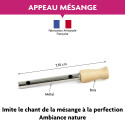 APPEAU FUZEAU MESANGE CHARBONNIERE