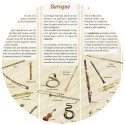POSTER HISTOIRE DES INSTRUMENTS