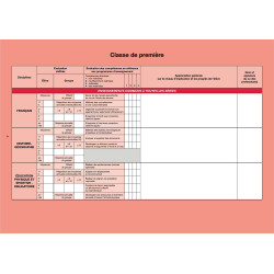 LIVRET SCOLAIRE DU BACCALAUREAT POUR LES SERIES TECHNOLOGIQUES