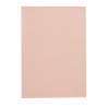 RAMETTE PAPIER BROUILLON ROSE