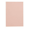 RAMETTE PAPIER BROUILLON ROSE