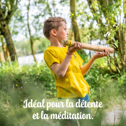 Bâton de Pluie | En Cactus | Dimension 50 cm | Fuzeau