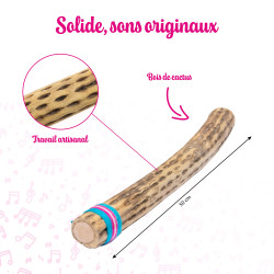 Bâton de Pluie | En Cactus | Dimension 50 cm | Fuzeau