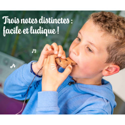 SIFFLET BRESILIEN TRITONAL APPELE AUSSI APITO DE SAMBA