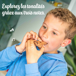 SIFFLET BRESILIEN TRITONAL APPELE AUSSI APITO DE SAMBA