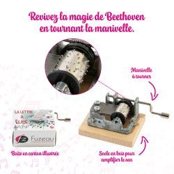 Serinette | Boite à Musique | Mélodie La Lettre à Elise | Fuzeau