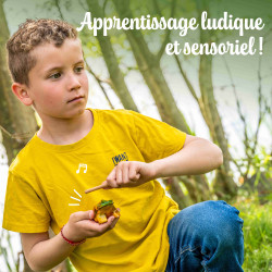 PETITE GRENOUILLE GUIRO DE 6 CM POUR IMITER LE COASSEMENT