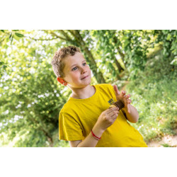 Appeau | Merle Appel | Nature | Fuzeau