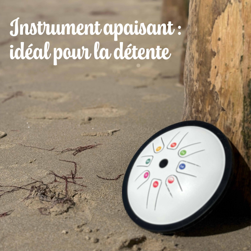 TONGUE DRUM diamètre 18 cm BLANC FUZEAU — free download