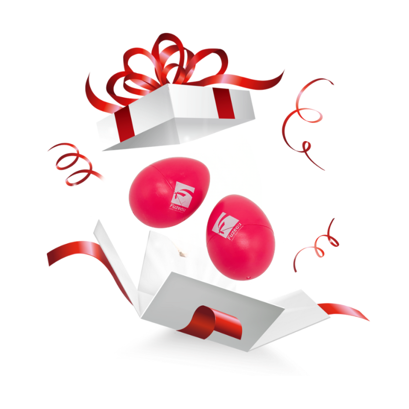 CADEAU PETITS OEUFS SONORES