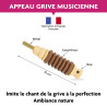 L'APPEAU DE LA GRIVE MUSICIENNE