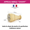 L'APPEAU MERLE LE CHANT