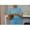 Grenouille Guiro | 14 cm | En bois | Fuzeau