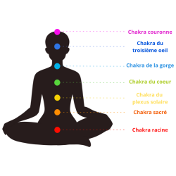 Diapasons Chakras | 7 Diapasons | Bien Être | Fuzeau Séniors