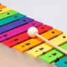 Métallophone Soprano | 13 Lames Colorées | Fuzeau Séniors