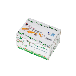 Coffret 5 Appeaux Soufflés | Imiter les Oiseaux Campagne | Fuzeau Séniors