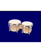 Bongo